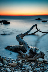 kamienisty brzeg morza, kłoda drewna na brzegu morza