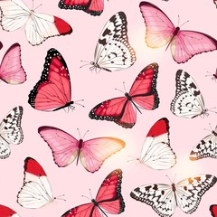 Wektor wzór z wysokim szczegółowym motylem zwrotnik