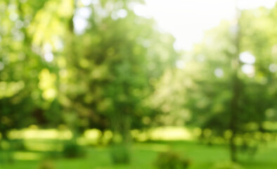 Blur defocused park garden tree in nature background