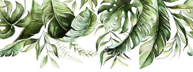 TROPIKALNA MONSTERA