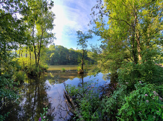 REZERWAT PRZYRODY NIEBIESKIE ŹRÓDŁA. TOMASZÓW MAZOWIECKI, POLSKA. 