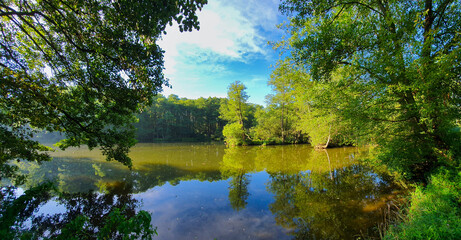 REZERWAT PRZYRODY NIEBIESKIE ŹRÓDŁA. TOMASZÓW MAZOWIECKI, POLSKA. 