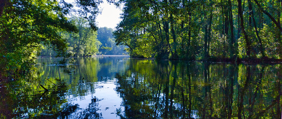 REZERWAT PRZYRODY NIEBIESKIE ŹRÓDŁA. TOMASZÓW MAZOWIECKI, POLSKA. 
