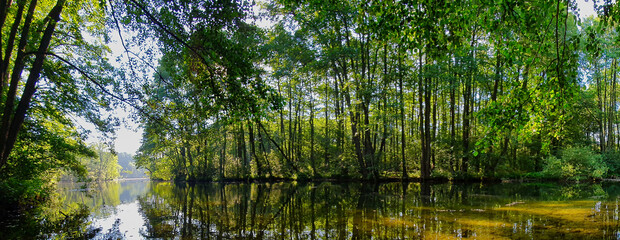 REZERWAT PRZYRODY NIEBIESKIE ŹRÓDŁA. TOMASZÓW MAZOWIECKI, POLSKA. 
