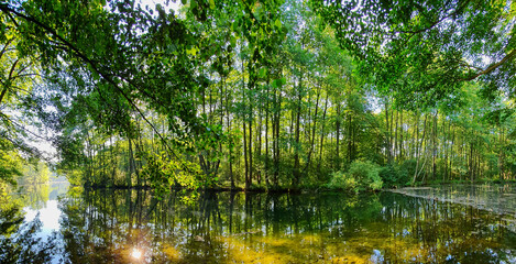REZERWAT PRZYRODY NIEBIESKIE ŹRÓDŁA. TOMASZÓW MAZOWIECKI, POLSKA. 