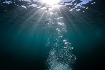 Bubbles underwater, Sydney Australia