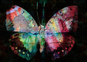 Grunge kolorowy motyl