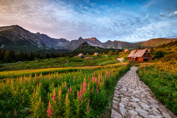 Beautiful summer sunrise in the mountains - Hala Gasienicowa in Poland - Tatras