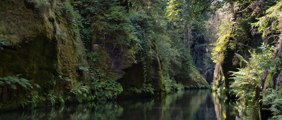 RZEKA W GÓRACH. CZESKA SZWAJCARIA, WĄWÓZ EDMUNDA, REPUBLIKA CZESKA 