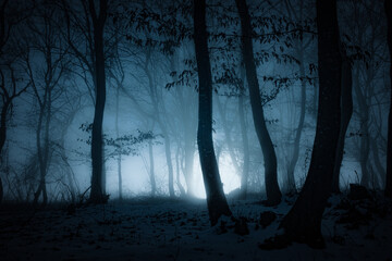 dark misty forest panorama fantasy halloween landscape