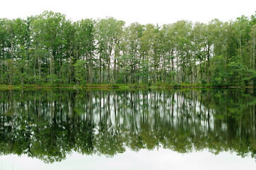 jesienne pejzaże przyrody, roślinność przeciwległego brzegu jeziora i jej lustrzne odbicie w wodzie