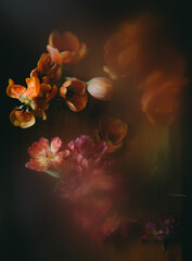 obrazowy kwiat martwa natura.