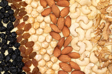 High angle shot of rows of different nuts and seeds