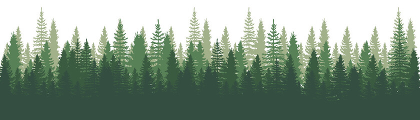 Forest Panorama view. Pines. Spruce nature landscape. Forest background. Set of Pine, Spruce and Christmas Tree on White background. Silhouette forest background. Vector illustration