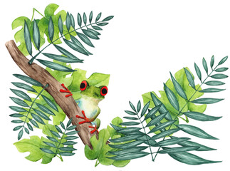 Tropikalna żaba na gałęzi z wieloma zielonymi liśćmi. 