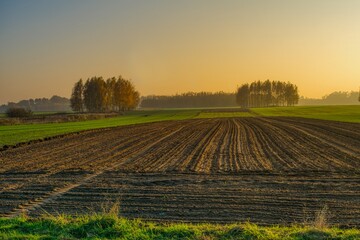 zasiane pola jesienią, wiejski krajobraz nizinny, pola poprzecinane łąkami i pastwiskami