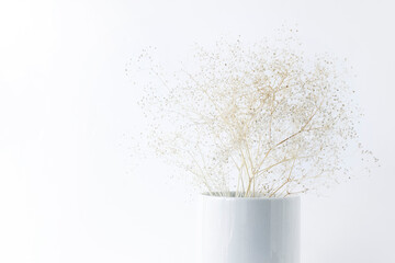 Dry delicate flowers in a white vase on a white background.