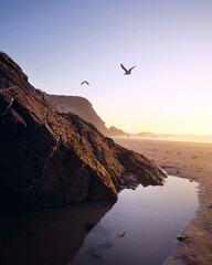 Dzika piaszczysta plaża o zachodzie słońca
