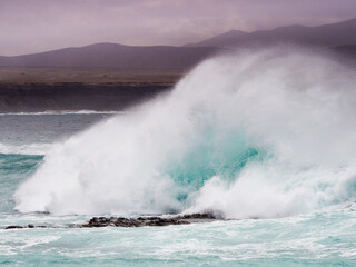 Fale, Fuerteventura 