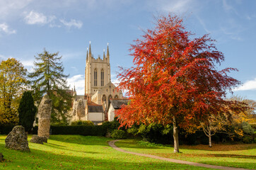 Autumn picture of St Edmundsbury Cathedral with a beautifuly colourful red tree.