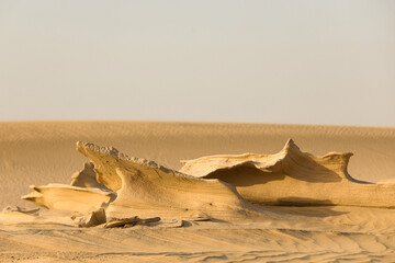 Desert fossil dunes 
