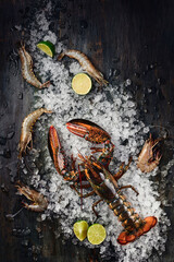 Fresh raw lobster on ice on dark textured background. Space for text. Top view. High quality photo