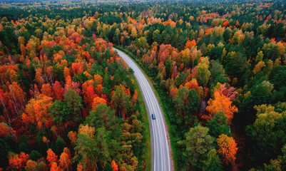 Aerial top view Nature autumn road in yellow forest, concept of trip by red car