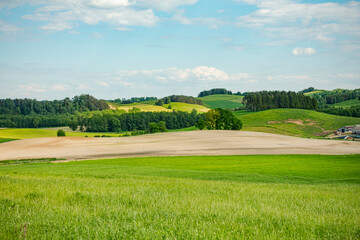 pole pola wieś wioska sielsko farma obszar wiejski pastwisko zielono podlasie suwalszczyzna