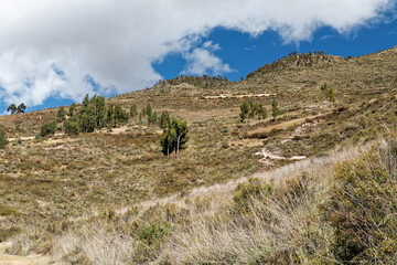 Eksperymentalne tarasy rolnicze Inkó w MOray, Peru.