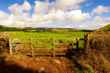 Krajobraz wiejski, stara drewniana zagroda, zielone łąki.