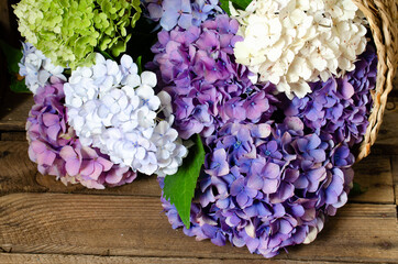 kolorowe kwiaty hortensji na brązowych deskach