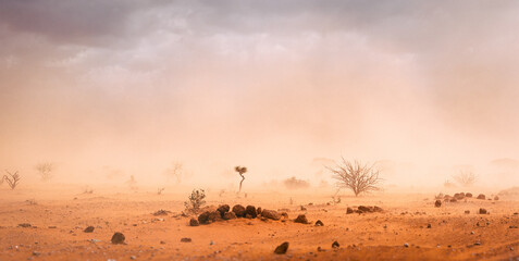 Climate catastrophe dusty sandstorm in African desert