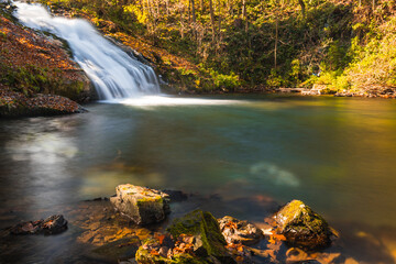 Wodospad w Sopotni Wielkiej – wodospad na potoku Sopotnia w miejscowości Sopotnia Wielka w gminie Jeleśnia, powiecie żywieckim, województwie śląskim. Pod względem geograficznym jest to obszar Beskidu 