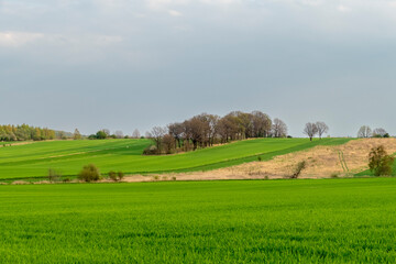 krajobraz wiejski, pola uprawne