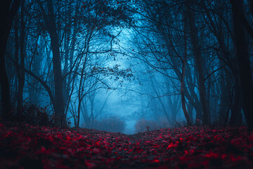 Fairy Forest. Mystical atmosphere. Paranormal another world. Stranger forest in a fog. Dark scary park with red leaves. Background for wallpaper.