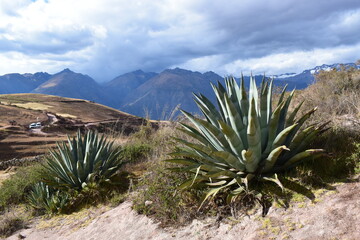 Andy, Peru, góry