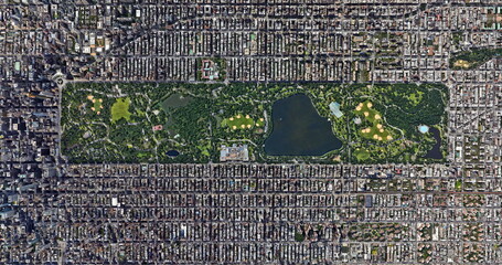 The artificial forest, the haunted forest, New York,