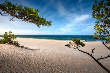Baltic Sea. Beautiful beach, coast and dune on the Hel Peninsula. Piękne plaże półwyspu helskiego z widokiem na wydmę, roślinność wydmową, piasek i morze bałtyckie. 