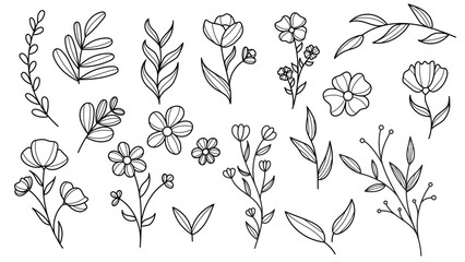 Zestaw kwiatów i liści, ręcznie rysowany. 
