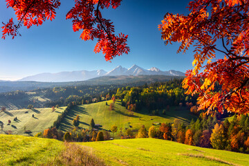 Beautiful autumn with a red and yellow trees under the Tatra Mountains at sunrise. Slovakia