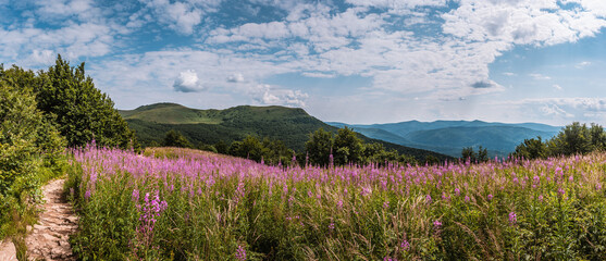 Panorama in Bieszczady Mountains in Poland