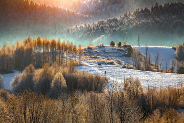 Perfect winter mountain landscape, morning forest in the fresh snow, Bieszczady, Poland