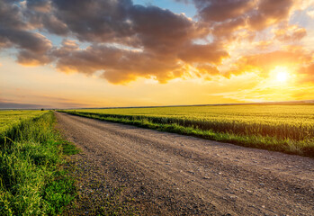 Country road and green wheat fields natural scenery at sunrise
