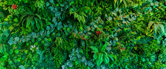 Herb wall, plant wall, natural green wallpaper and background. nature wall. Nature background of green forest