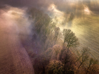 Mgła i promienie słońca przebijające się przez drzewa - widok z drona