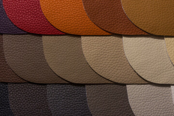 próbki kolorowej skóry