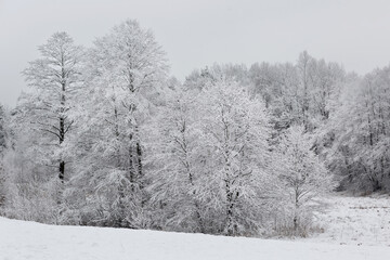 20.01.2023 Jasiów . Wiejski zimowy krajobraz 