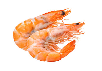 Cooked shrimps isolated on transparent png