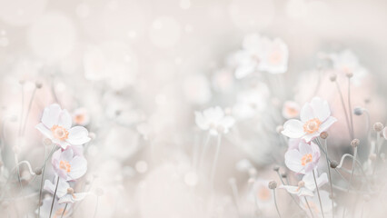 Papier dekoracyjny, tło pastelowe, wzór w kwiaty, puste miejsce