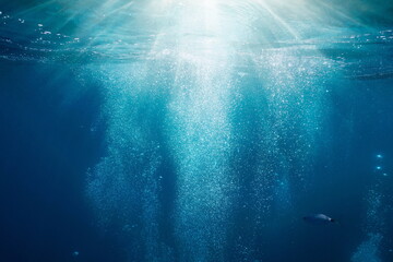 Sunlight underwater with bubbles rising to water surface in the sea, Mediterranean, France